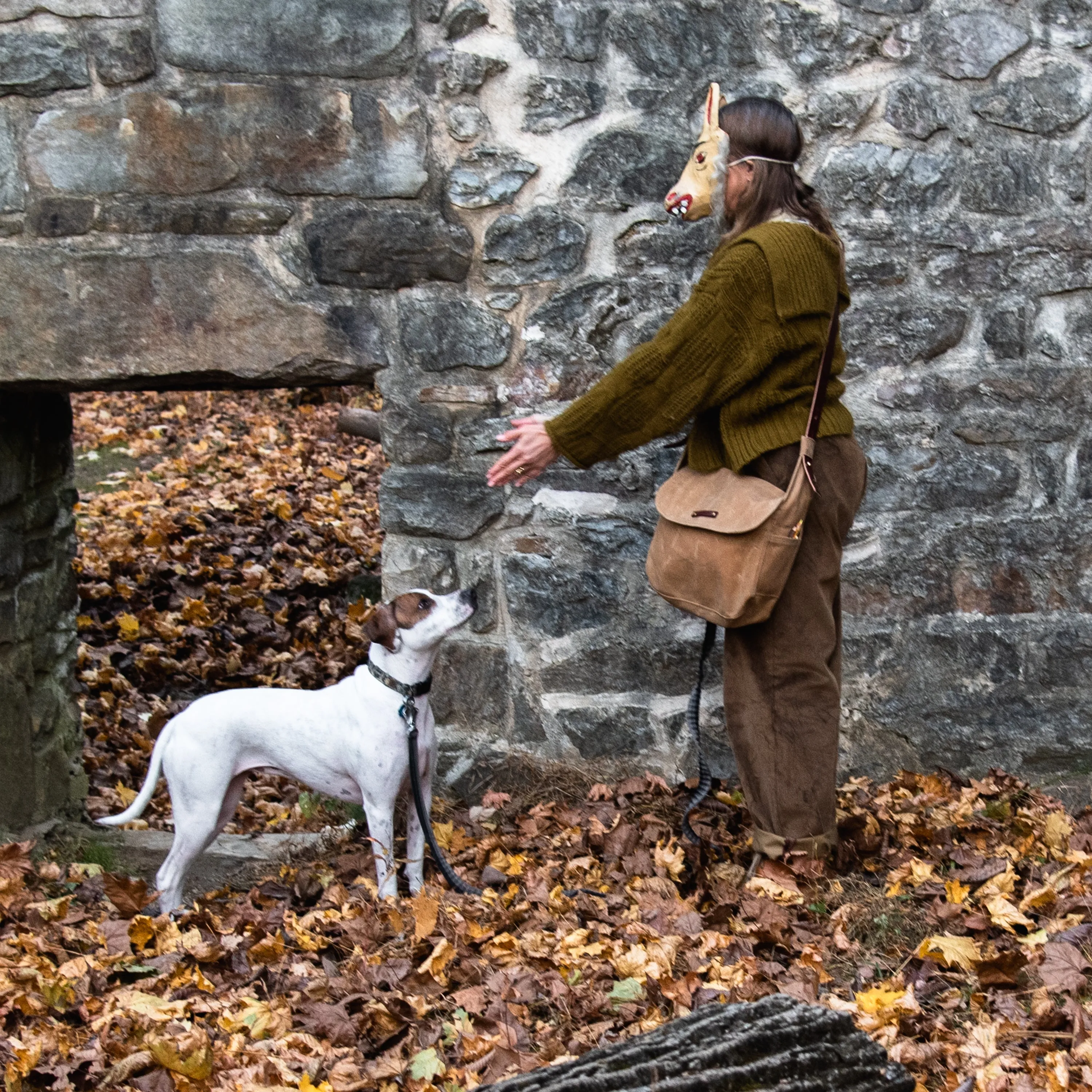 Autumn Colors: The Finch Satchel